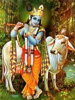 Shri Krishna chalisa
